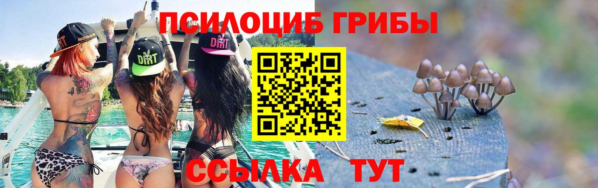 цены наркотик  Вход с VPN  Нижний Новгород  Псилоцибиновые грибы мухоморы 